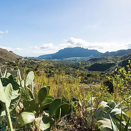 Tadia San Bartolomé